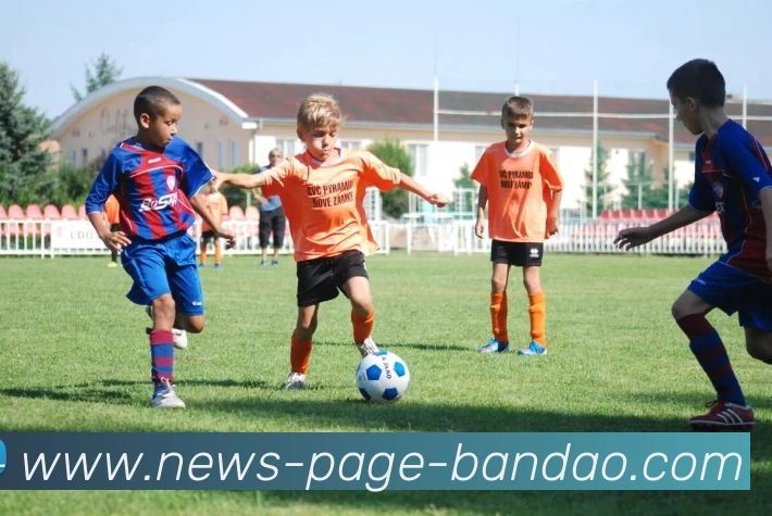 App Interface Preview