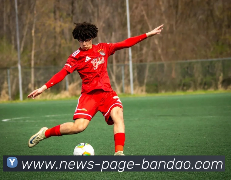 半岛体育APP 封面图